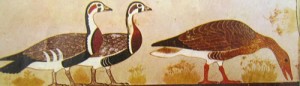 Oche, dalla Mastaba di Itet Meydum, Pittura Antico Regno, Museo Egizio del Cairo
